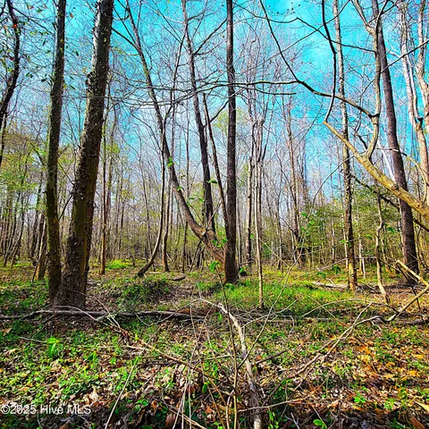 $1,790,000 | 84-acre 84-acre Private Island Cape, Leland, NC 28451