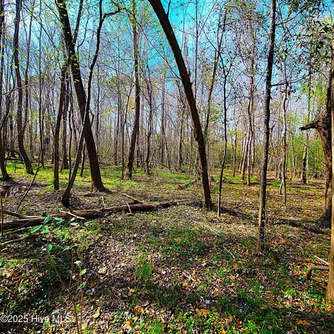 $1,790,000 | 84-acre 84-acre Private Island Cape, Leland, NC 28451