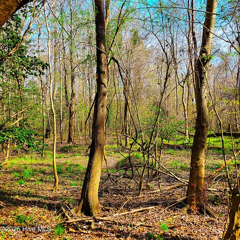 $1,790,000 | 84-acre 84-acre Private Island Cape, Leland, NC 28451