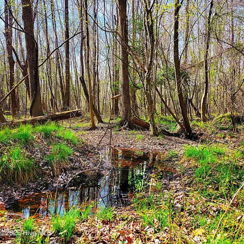 $1,790,000 | 84-acre 84-acre Private Island Cape, Leland, NC 28451
