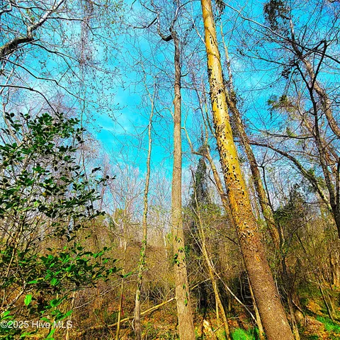 $1,790,000 | 84-acre 84-acre Private Island Cape, Leland, NC 28451