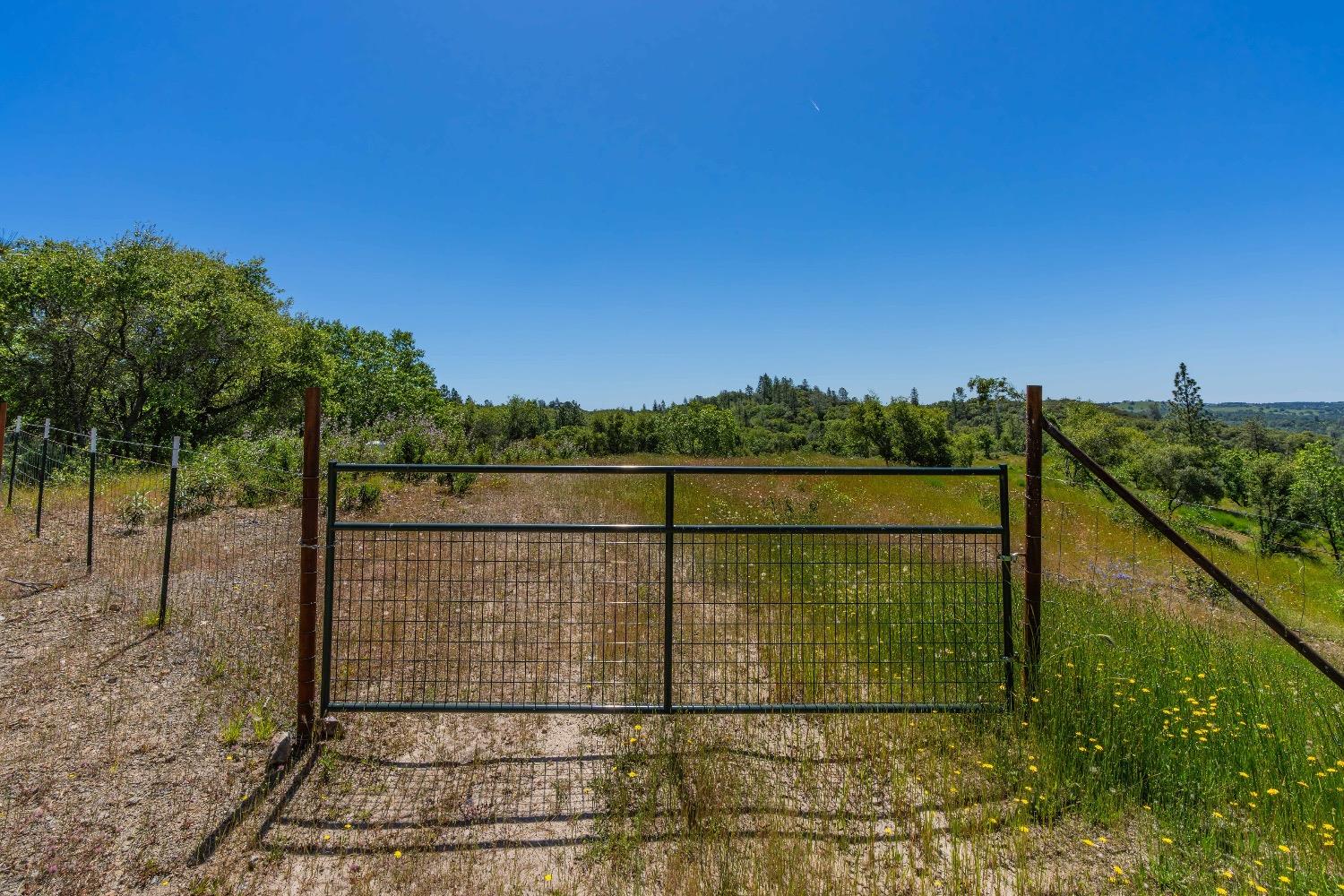 12377 Twin Pines Road Sutter Creek, CA 95685 - Photo 15 of 57