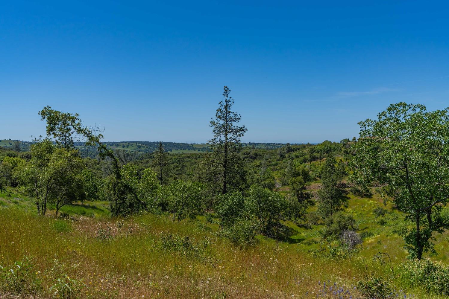 12377 Twin Pines Road Sutter Creek, CA 95685 - Photo 16 of 57