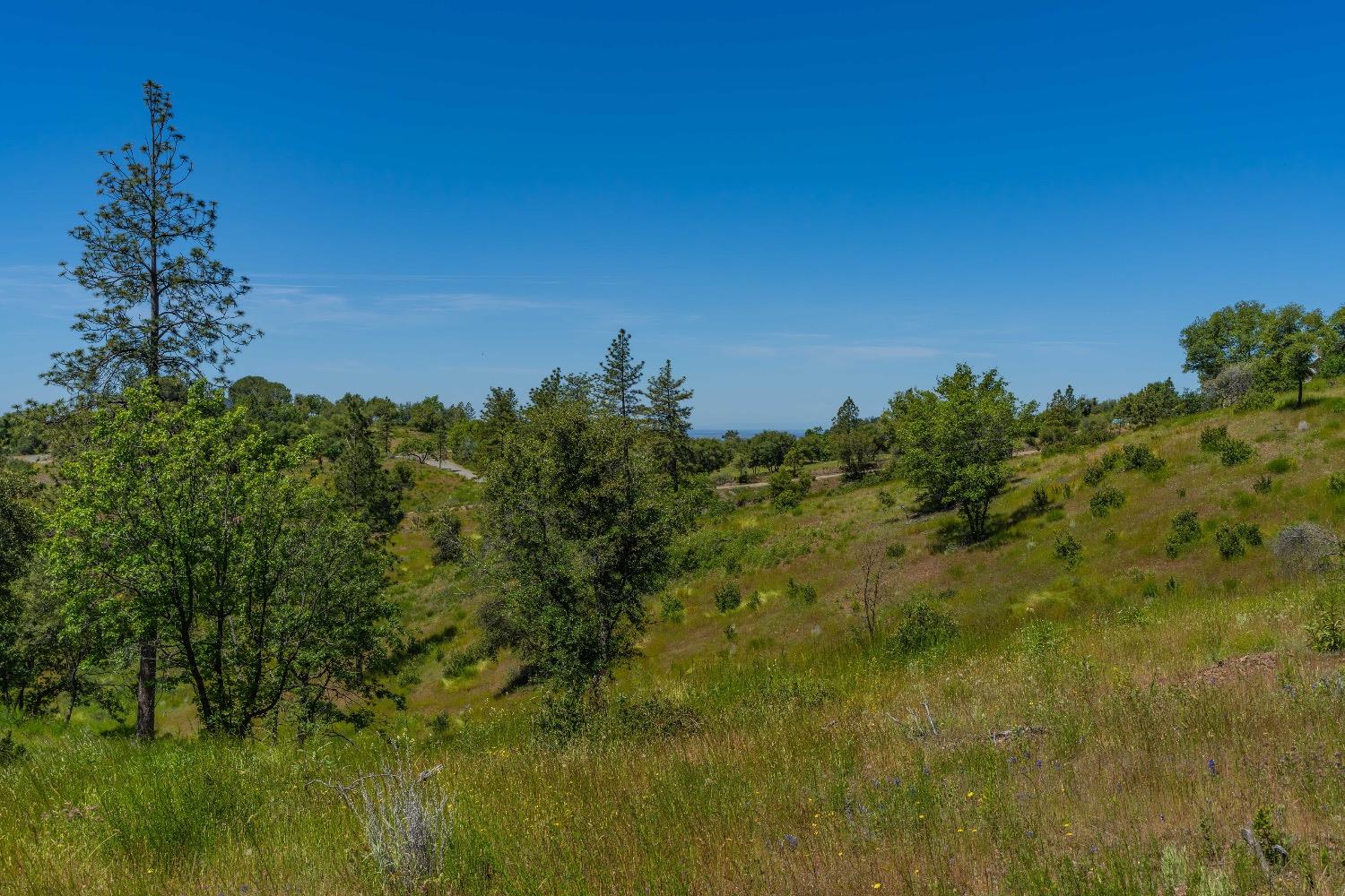 12377 Twin Pines Road Sutter Creek, CA 95685 - Photo 19 of 57