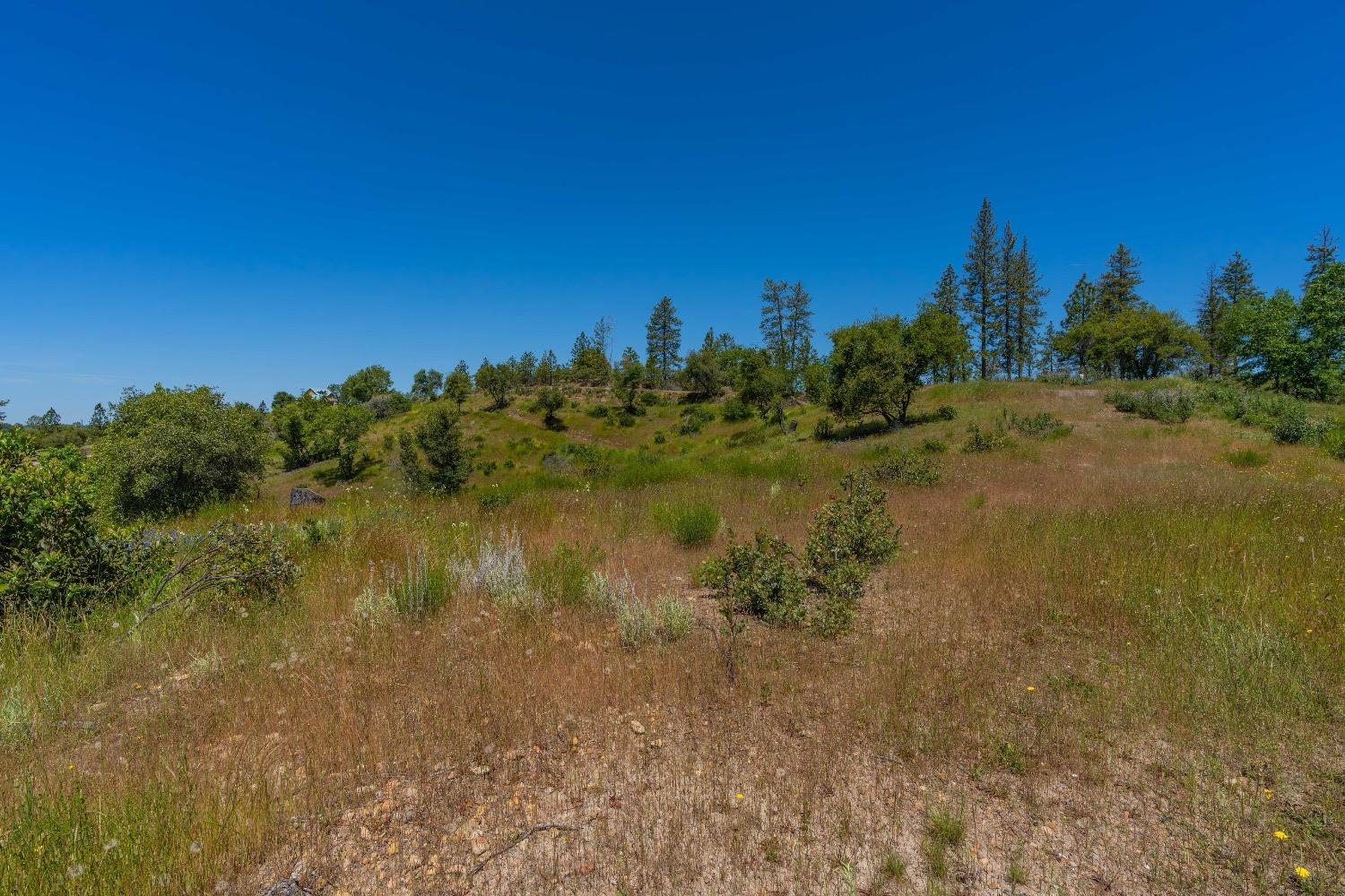 12377 Twin Pines Road Sutter Creek, CA 95685 - Photo 20 of 57