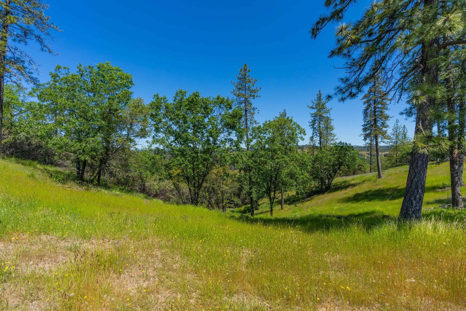 12377 Twin Pines Road Sutter Creek, CA 95685 - Photo 2 of 57