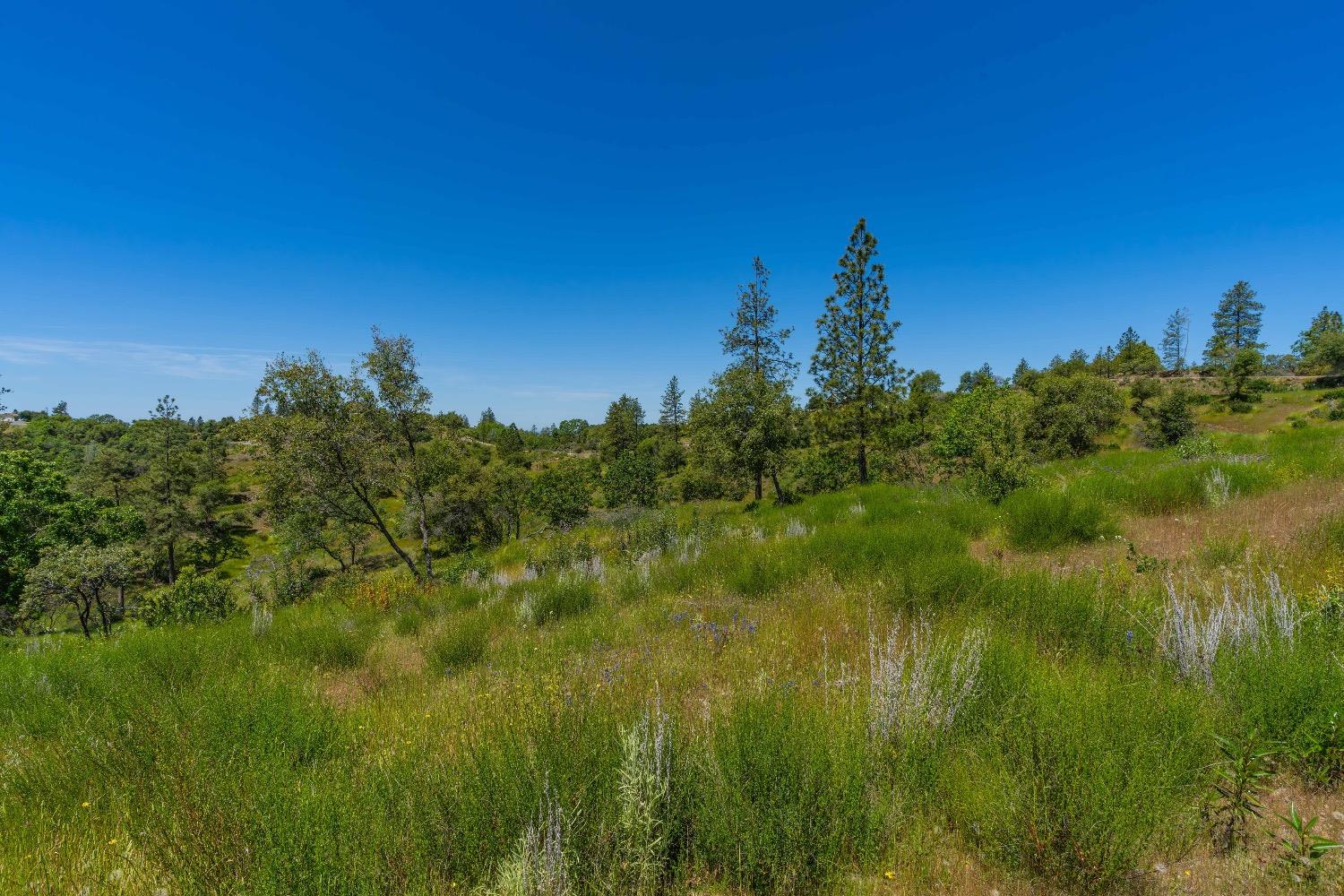 12377 Twin Pines Road Sutter Creek, CA 95685 - Photo 21 of 57