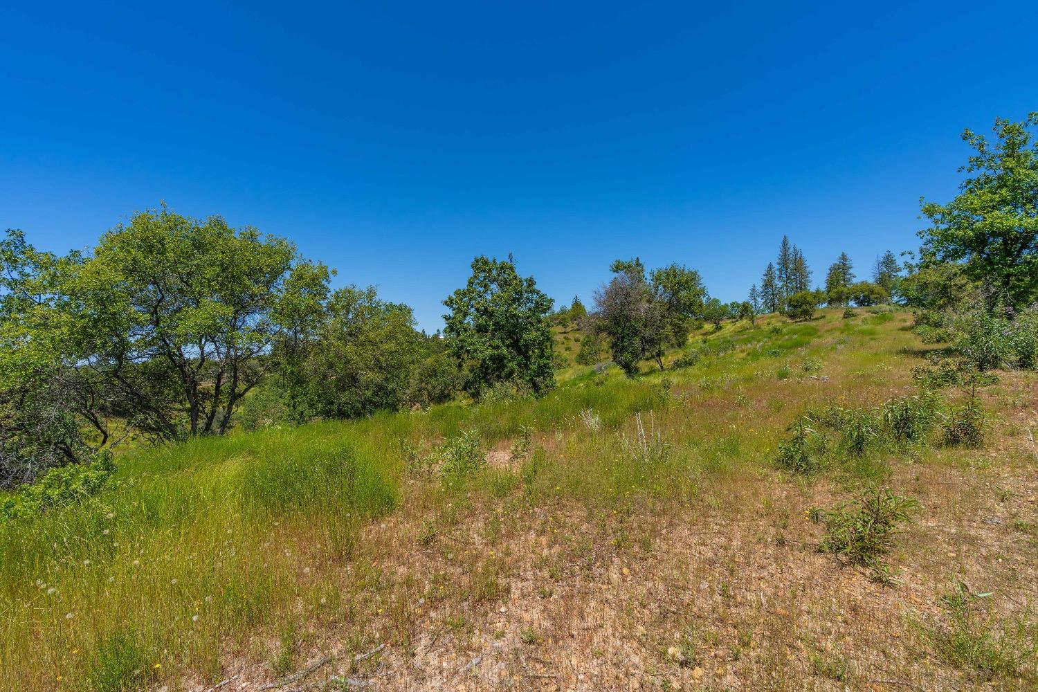 12377 Twin Pines Road Sutter Creek, CA 95685 - Photo 23 of 57