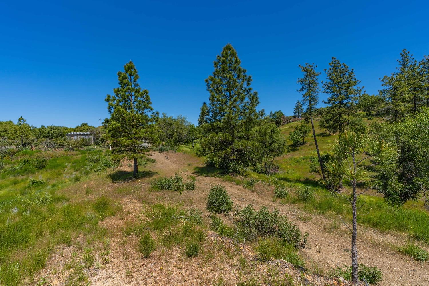 12377 Twin Pines Road Sutter Creek, CA 95685 - Photo 32 of 57