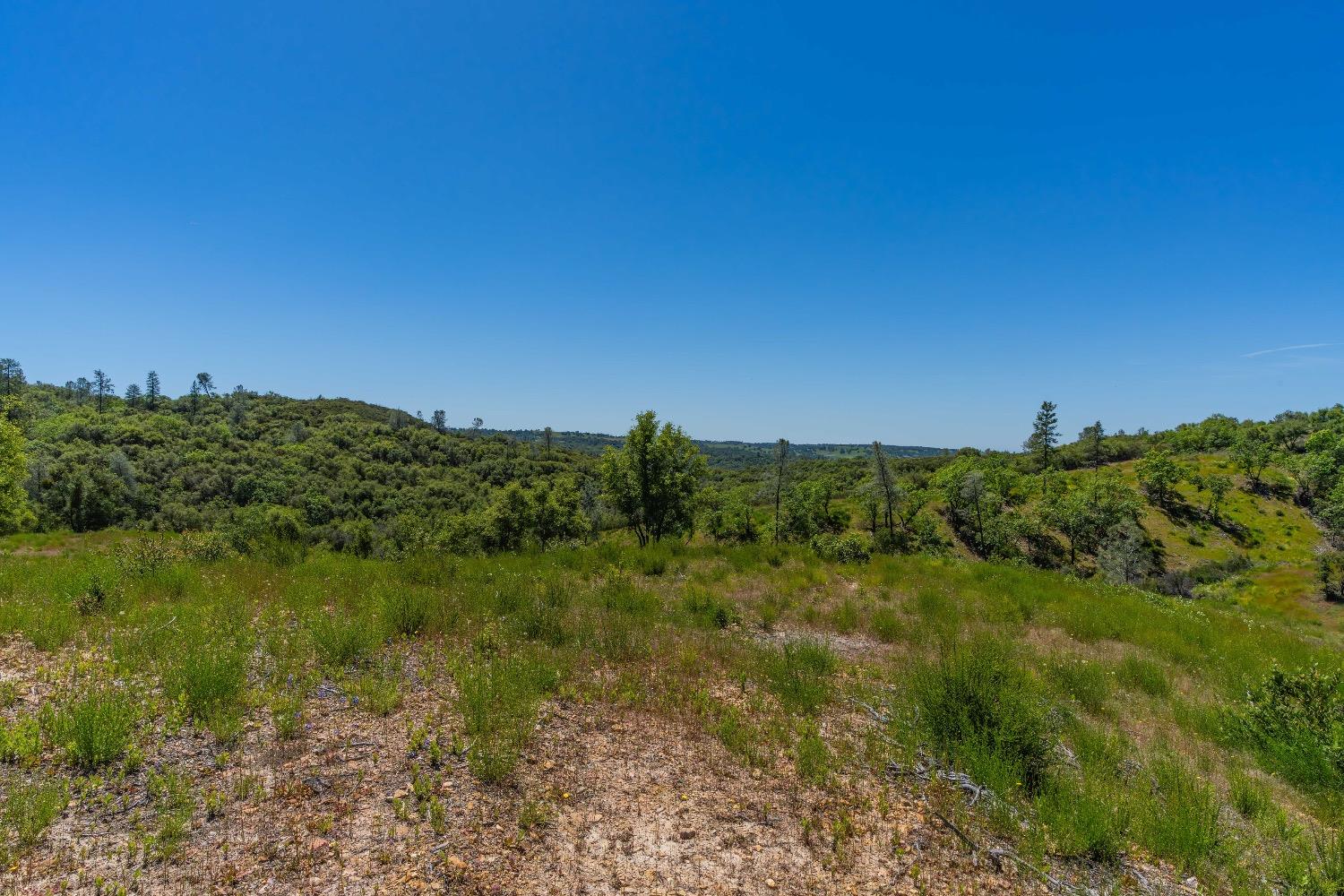 12377 Twin Pines Road Sutter Creek, CA 95685 - Photo 34 of 57