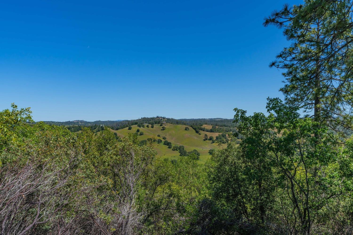12377 Twin Pines Road Sutter Creek, CA 95685 - Photo 10 of 57