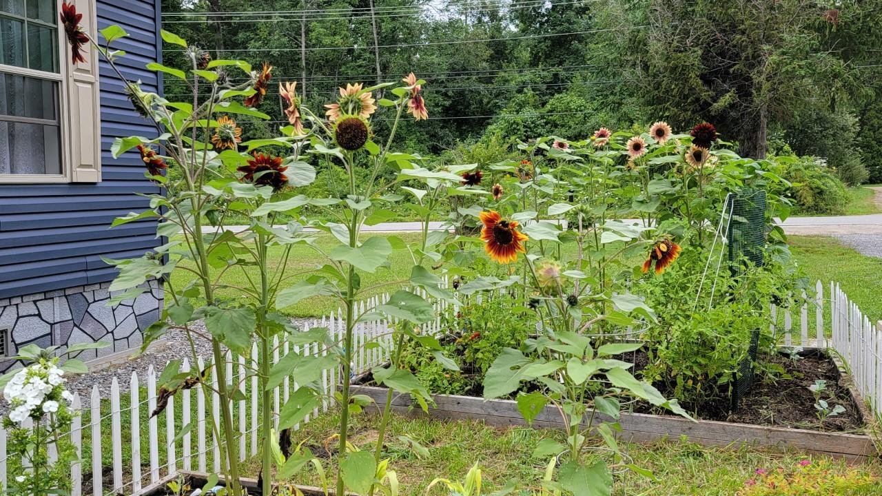 63 George Wright Road Woolwich, ME 04579 - Photo 24 of 26 thumbnail_20210809_103504