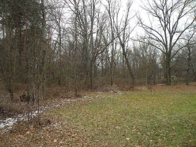 12526 Beardslee Road Perry, MI 48872 - Photo 24 of 25