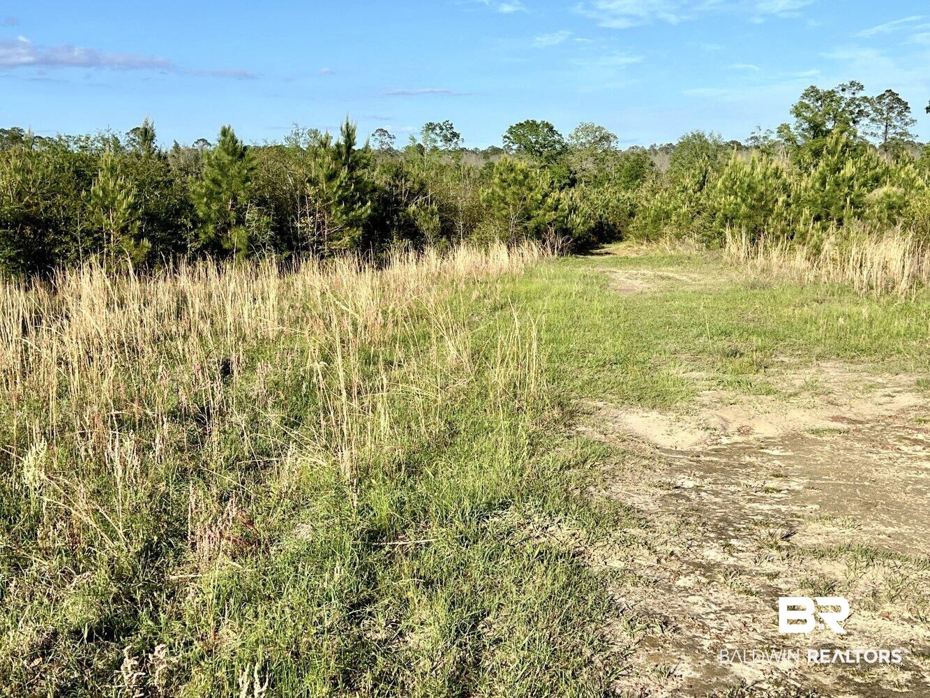 0 James Stacy Lane Stapleton, AL 36578 - Photo 5 of 13 Gallery Image 5
