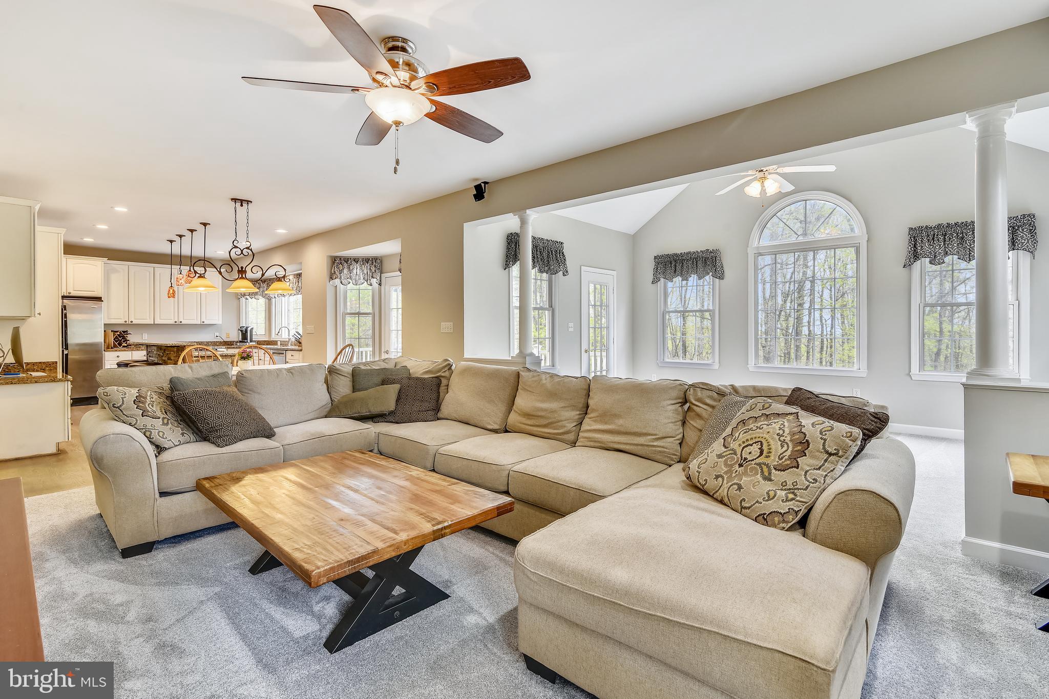 7173 Baldwin Ridge Road Warrenton, VA 20187 - Photo 20 of 113 Ceiling fan and new carpeting