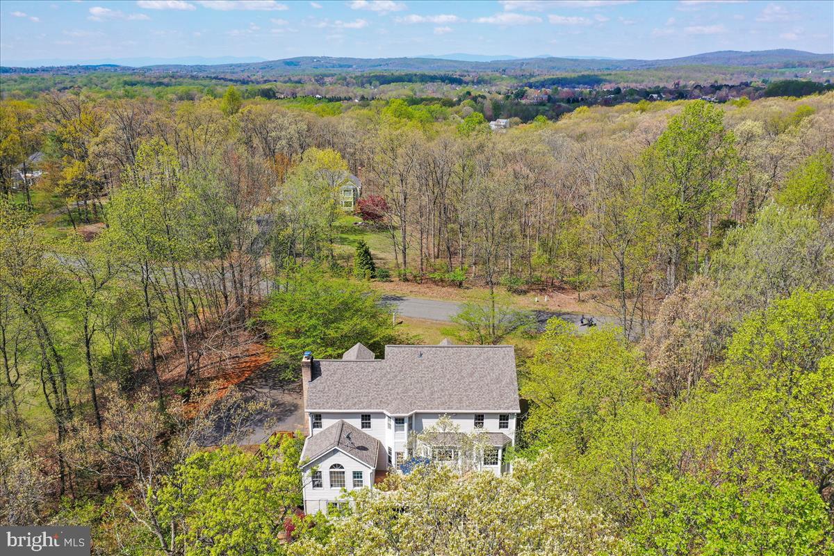 7173 Baldwin Ridge Road Warrenton, VA 20187 - Photo 5 of 113 Gallery Image 5