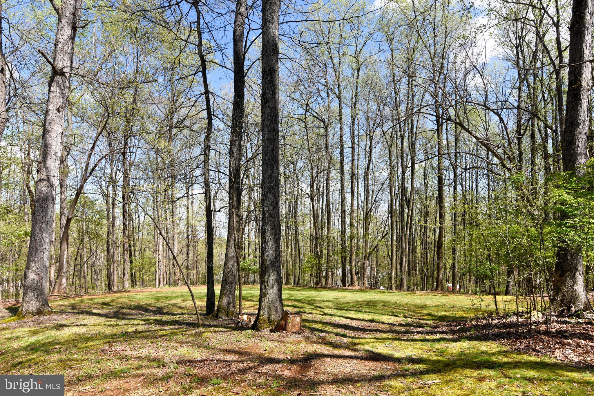 7173 Baldwin Ridge Road Warrenton, VA 20187 - Photo 46 of 113 Gallery Image 46