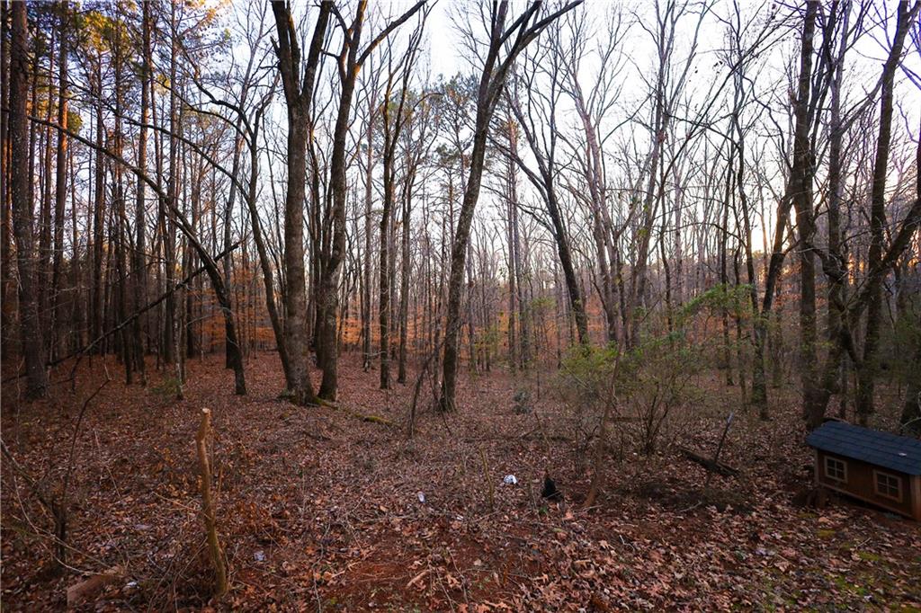 27 Hawks Trail Newborn, GA 30056 - Photo 25 of 29 a view of outdoor space with lots of trees