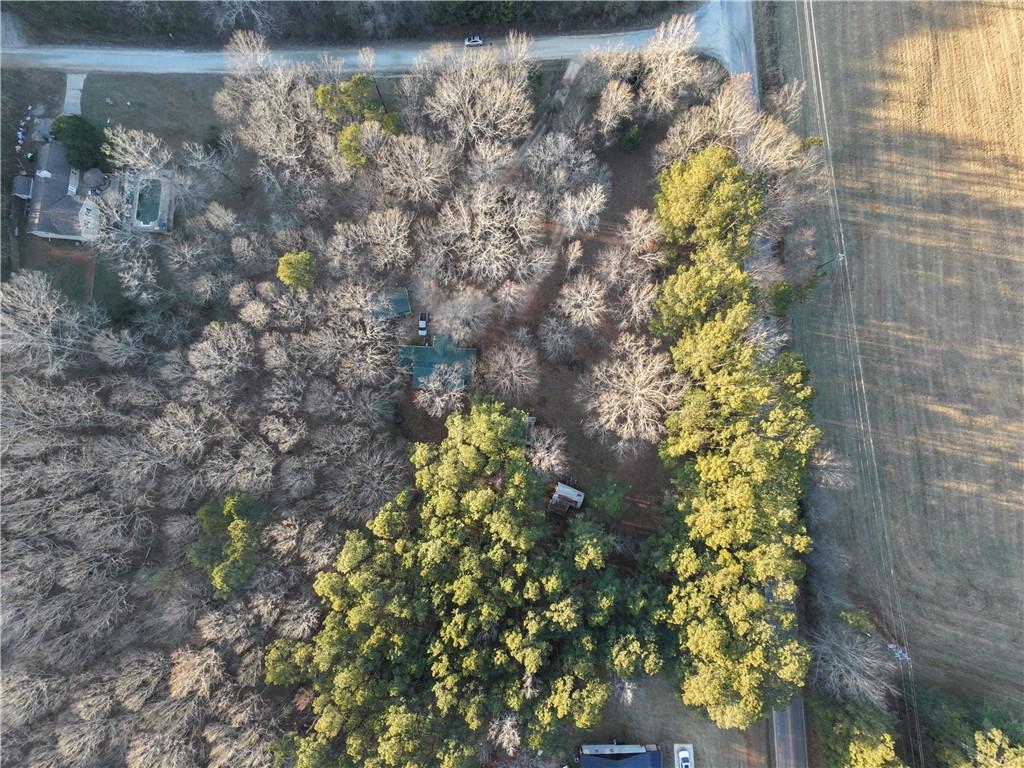27 Hawks Trail Newborn, GA 30056 - Photo 28 of 29 a close up of a tree