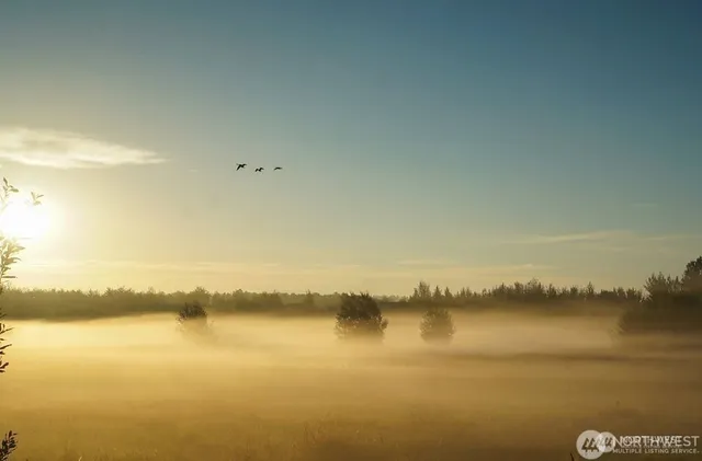 a view of a lake view