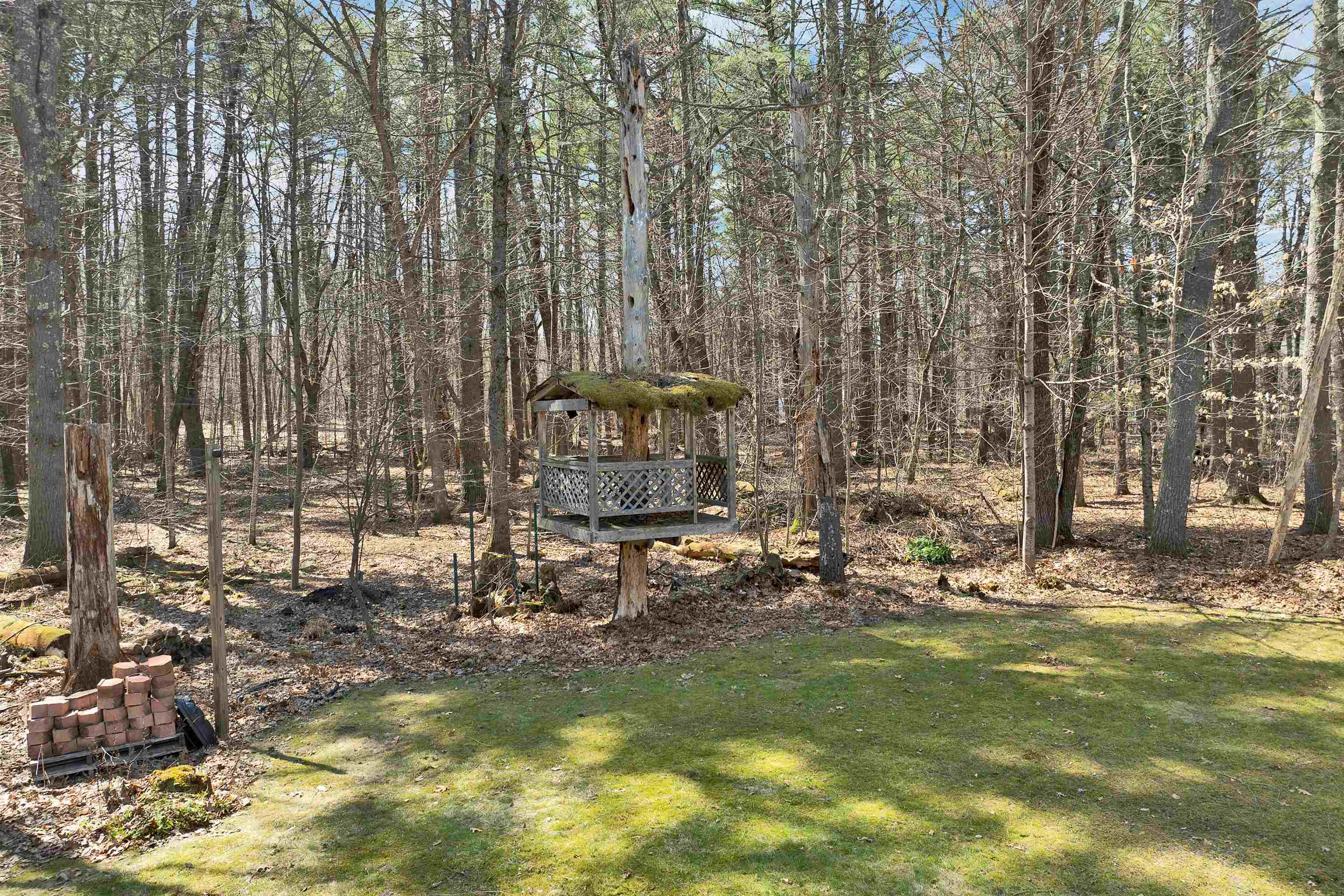 50 James Farm Road Lee, NH 03861 - Photo 49 of 55