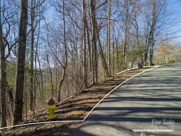 a view of backyard with wooden fence