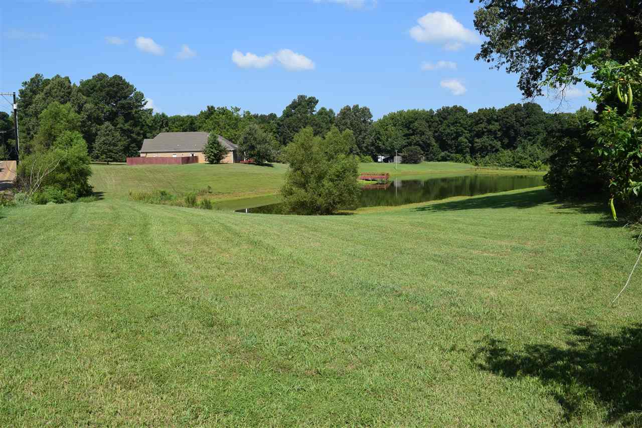 6546 Tracy Road Atoka, TN 38004 - Photo 4 of 24 a view of a grassy field with trees in the background