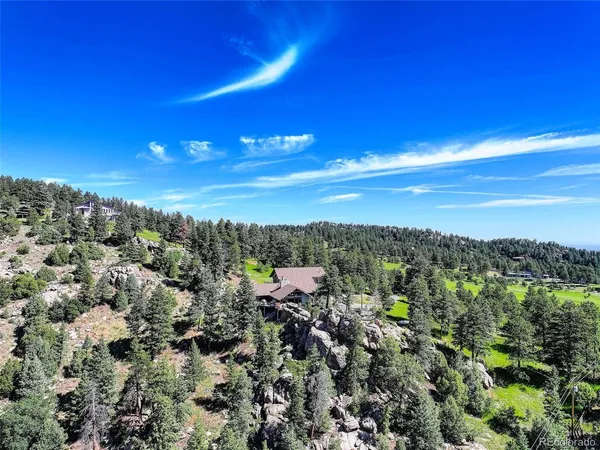 a view of a city with lush green forest