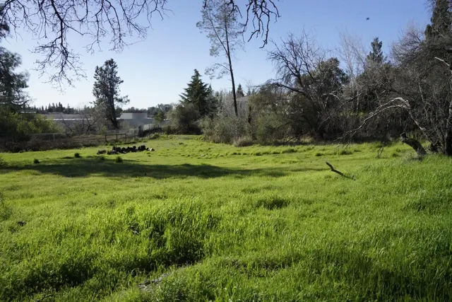 $549,000 | 12265 New Airport Road, Auburn, CA 95603