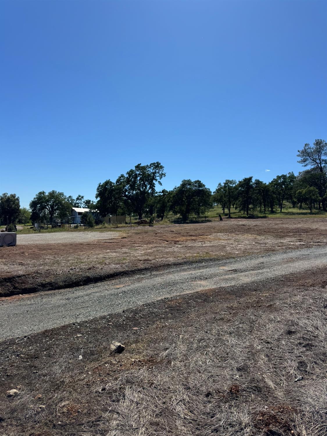 5371 Marysville Road Browns Valley, CA 95918 - Photo 12 of 23 a view of dirt field with trees