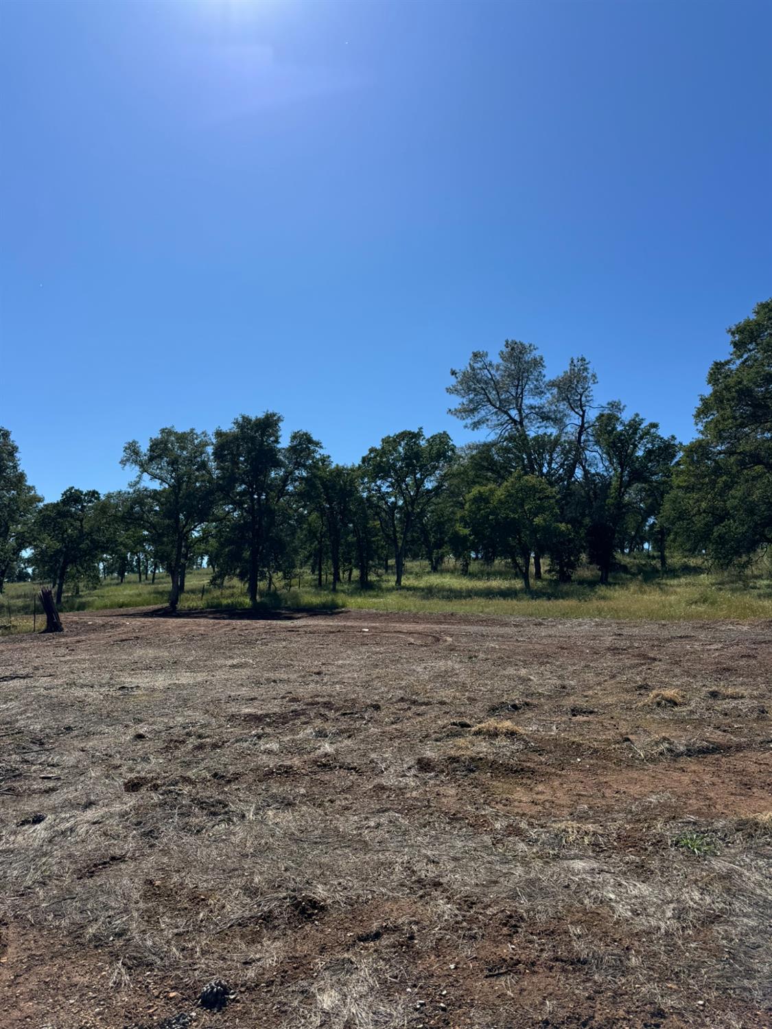 5371 Marysville Road Browns Valley, CA 95918 - Photo 21 of 23 a view of dirt field with trees