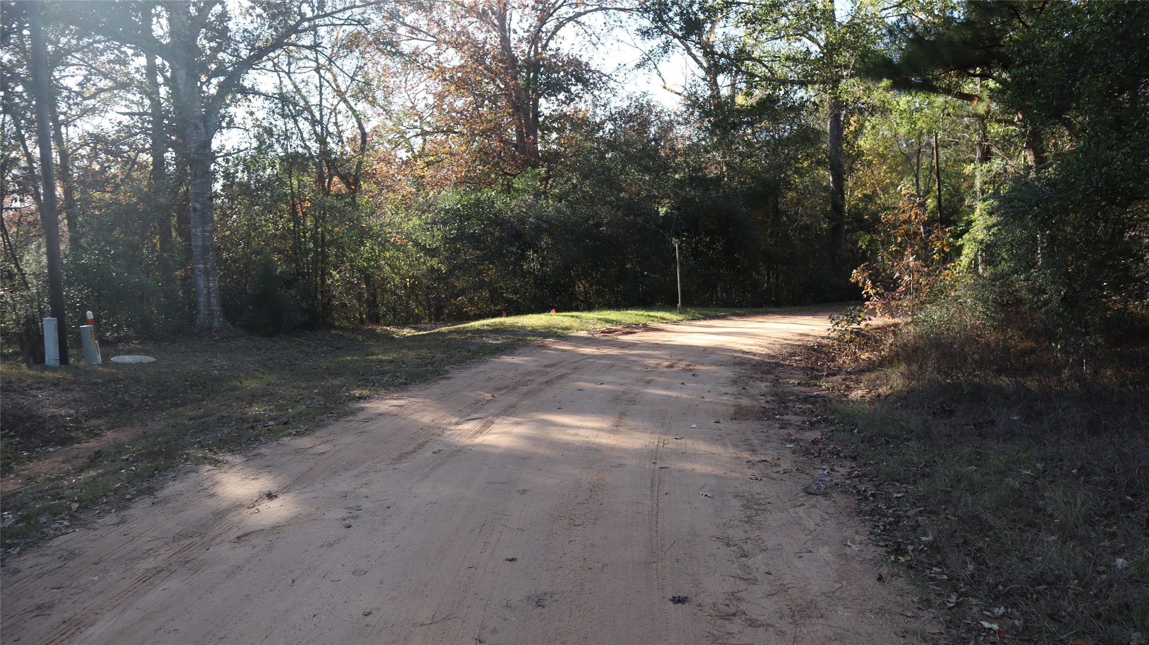 0 Pin Tail Drive Coldspring, TX 77331 - Photo 4 of 7 a backyard of a house with lots of green space