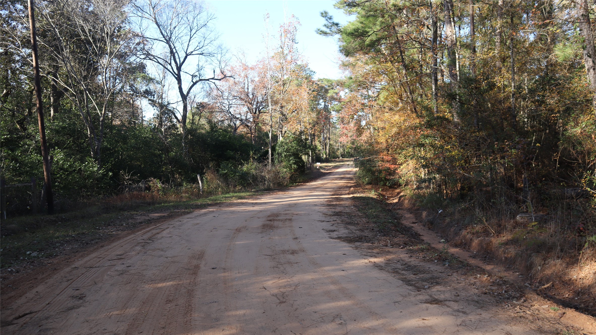 0 Pin Tail Drive Coldspring, TX 77331 - Photo 6 of 7 a view of a dirt road with large trees