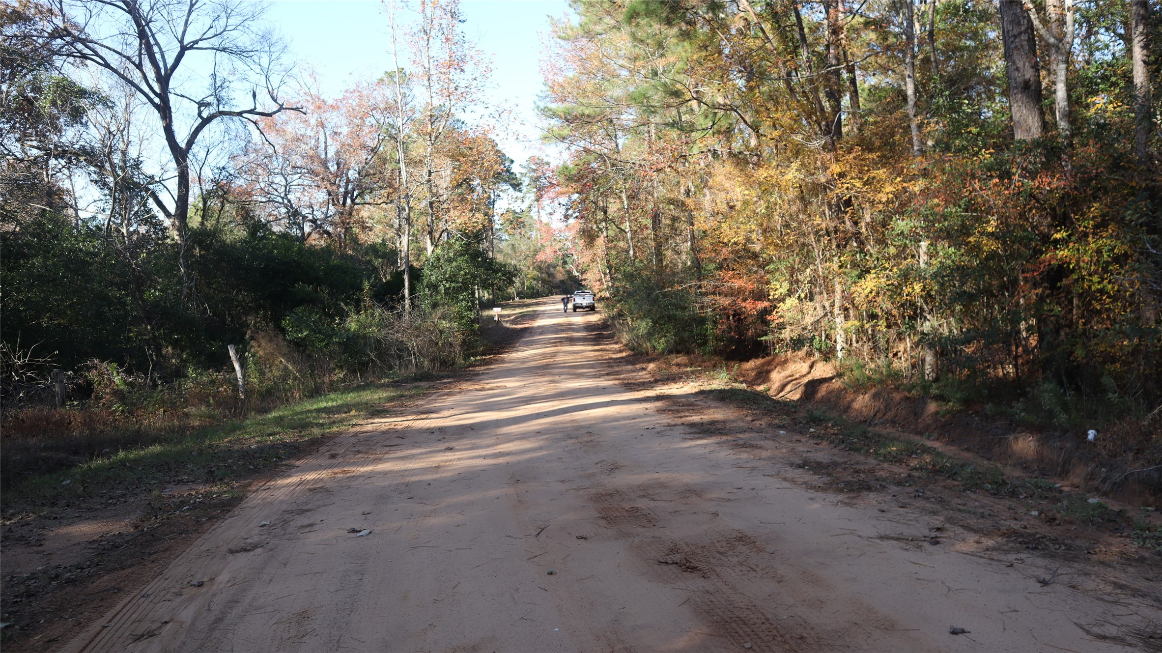 0 Pin Tail Drive Coldspring, TX 77331 - Photo 7 of 7 a view of a yard with trees