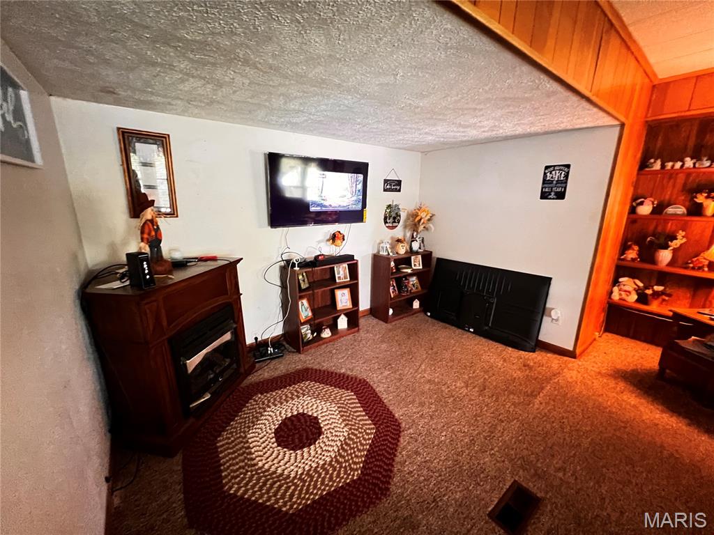 8360 Club Lane Alma, IL 62807 - Photo 13 of 24