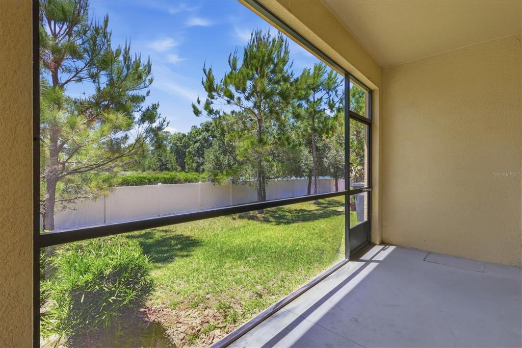 12909 Dream Catcher Way Riverview, FL 33579 - Photo 25 of 32 a view of a back yard from a window