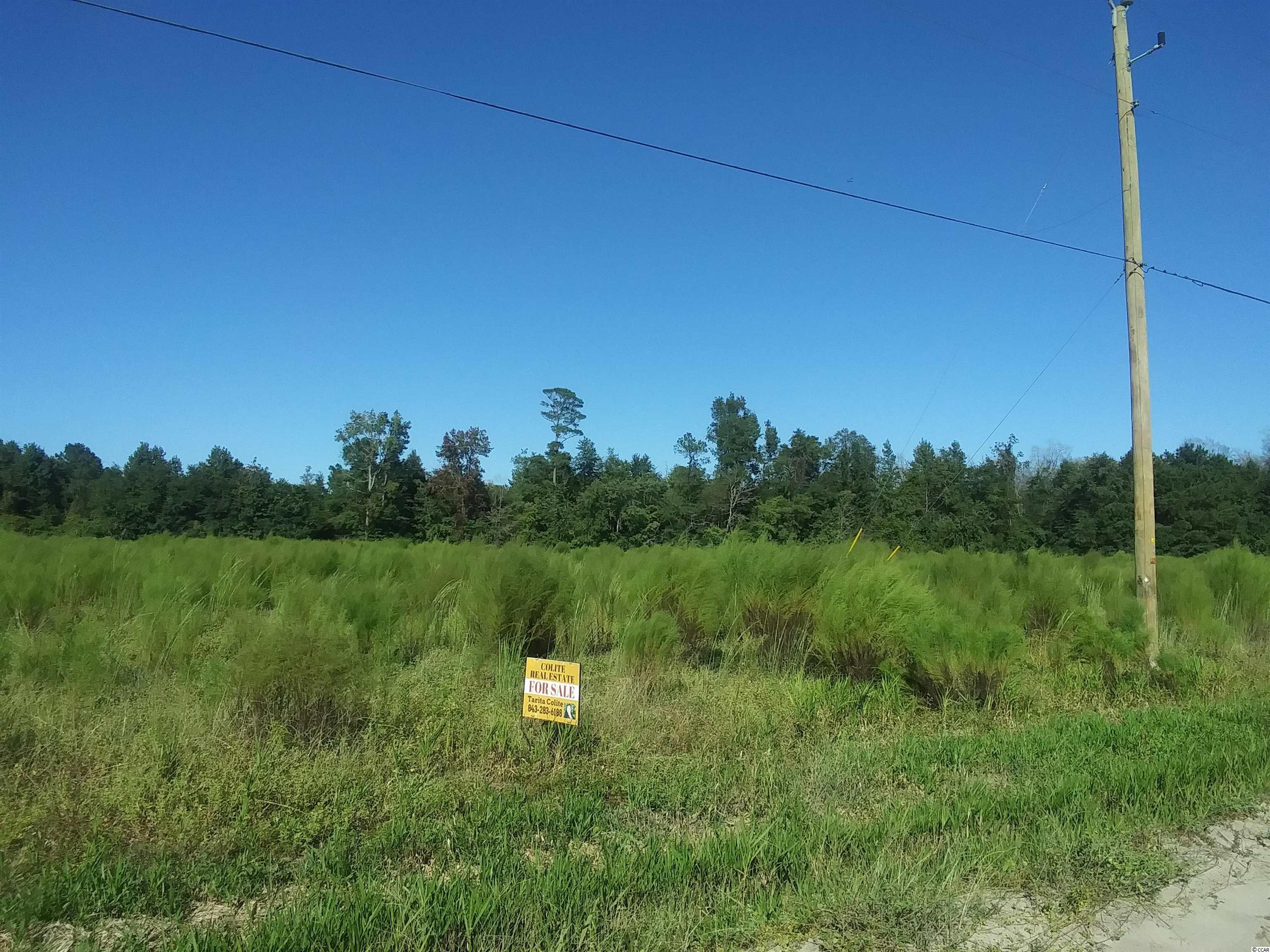 Lot 4 Hardwick Road Nichols, SC 29581 - Photo 1 of 2 Gallery Image 1