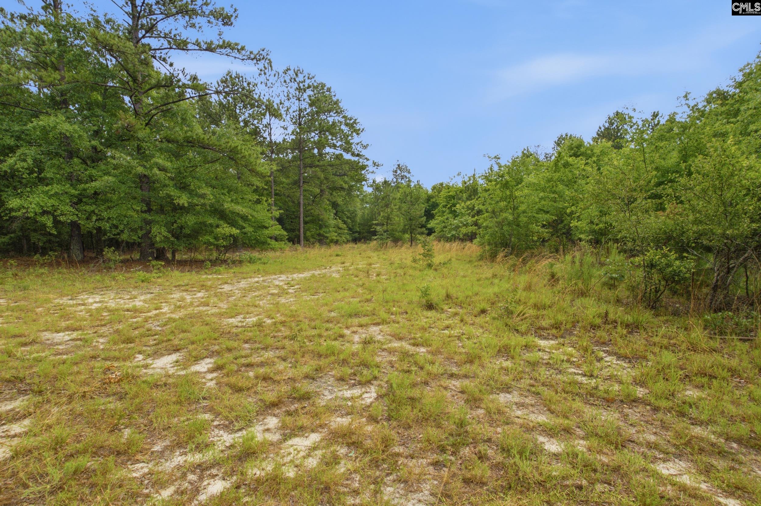 3390 State Rd S-28-496 Kershaw, SC 29067 - Photo 9 of 26