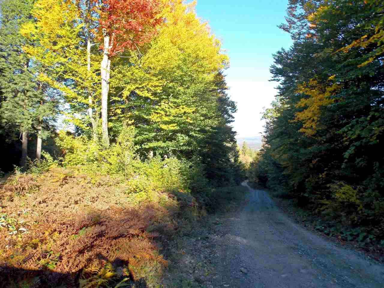Lot 3 Ball Ground Road Westfield, VT 05874 - Photo 1 of 12