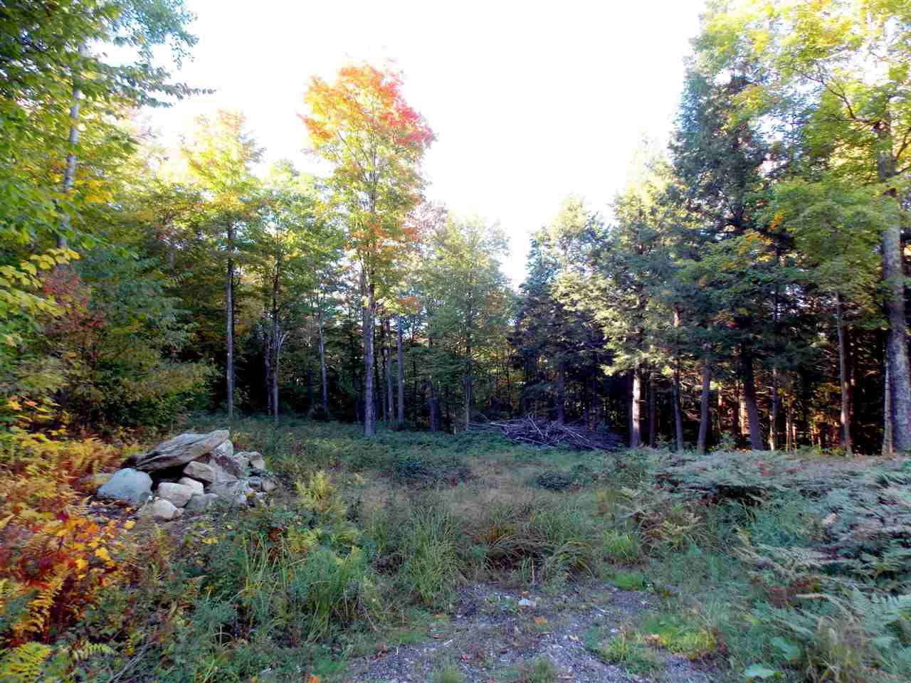 Lot 3 Ball Ground Road Westfield, VT 05874 - Photo 3 of 12