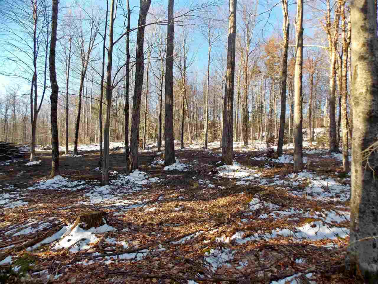 Lot 3 Ball Ground Road Westfield, VT 05874 - Photo 4 of 12