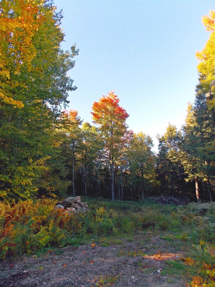 Lot 3 Ball Ground Road Westfield, VT 05874 - Photo 5 of 12