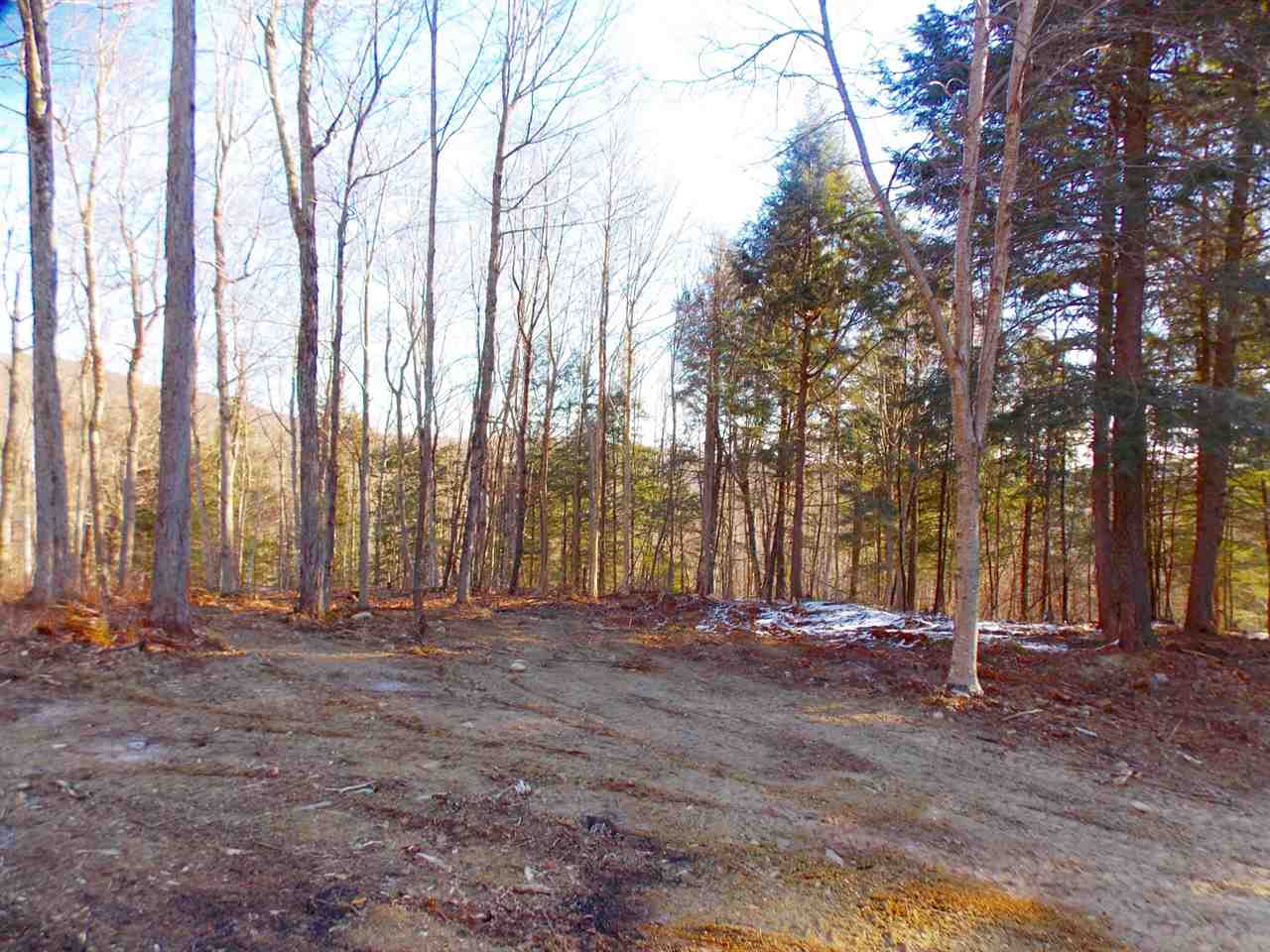 Lot 3 Ball Ground Road Westfield, VT 05874 - Photo 8 of 12