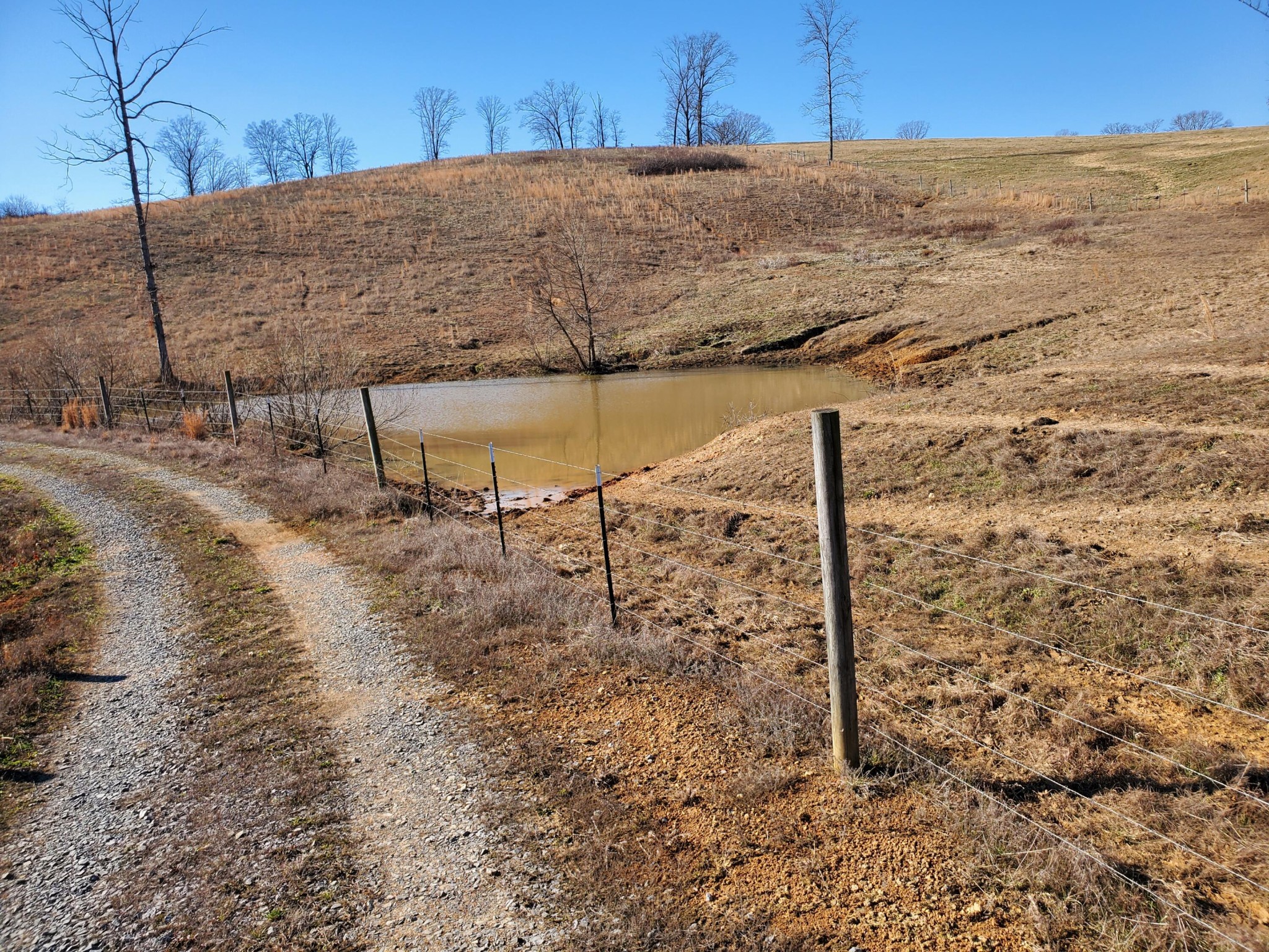 0 Neergaard Road Dunlap, TN 37327 - Photo 3 of 5 Gallery Image 3