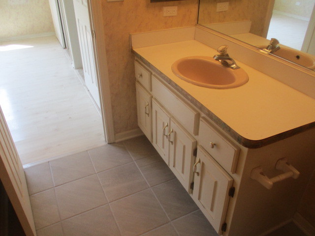 1901 Calla Drive Joliet, IL 60435 - Photo 13 of 27 a bathroom with a sink and mirror