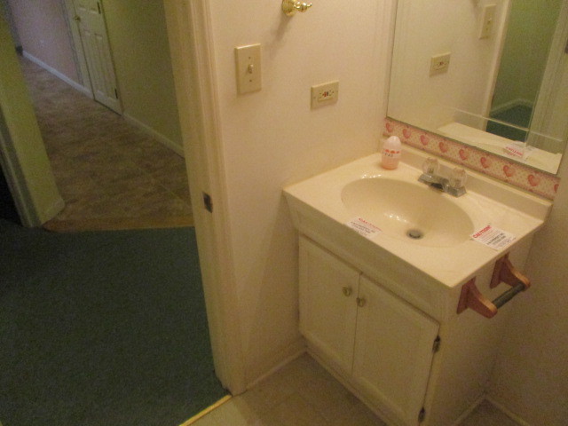 1901 Calla Drive Joliet, IL 60435 - Photo 24 of 27 a bathroom with a sink and a mirror