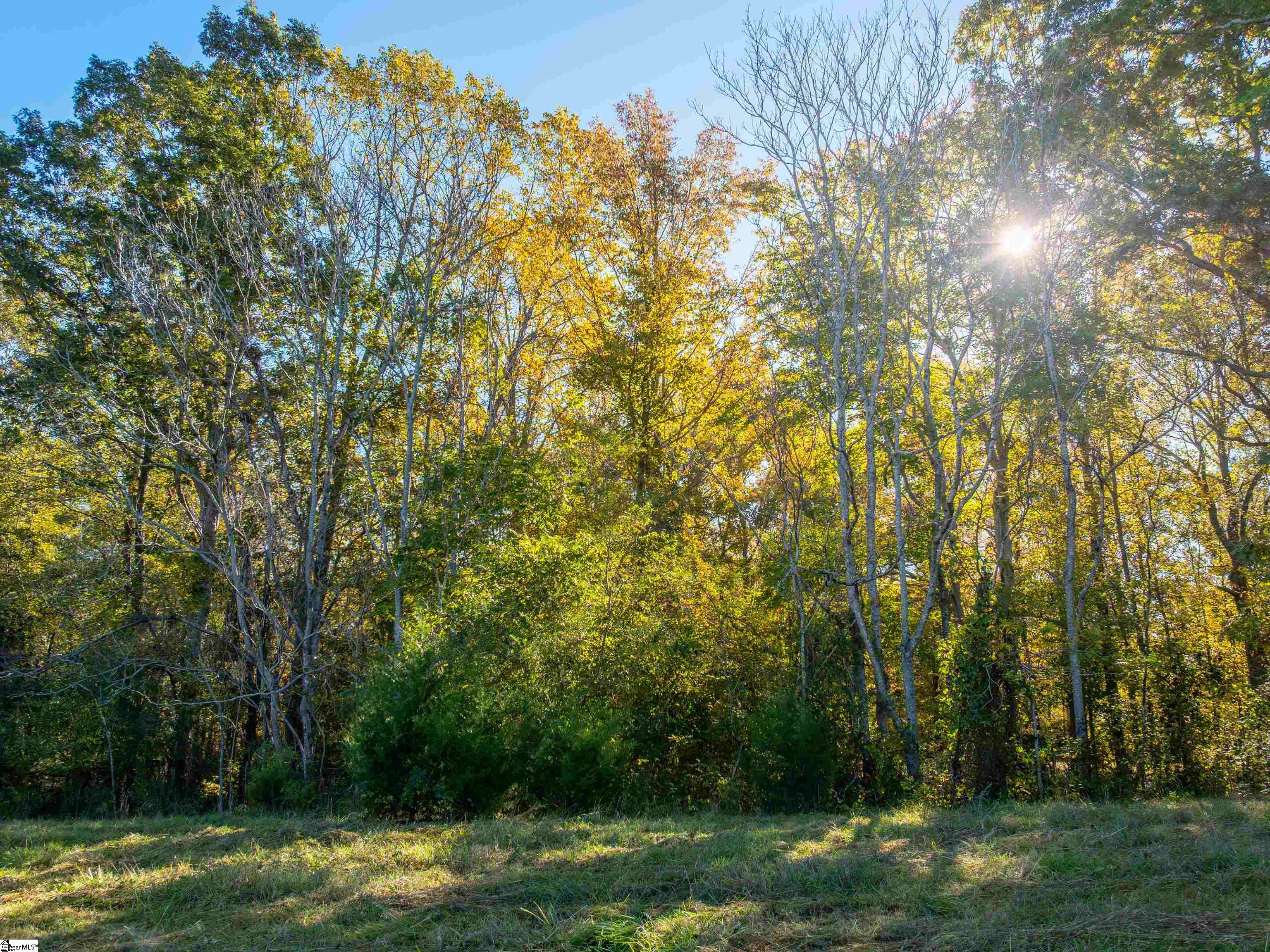 13 Taylor Road, Unit LOT 13 Honea Path, SC 29654 - Photo 38 of 50 Gallery Image 38