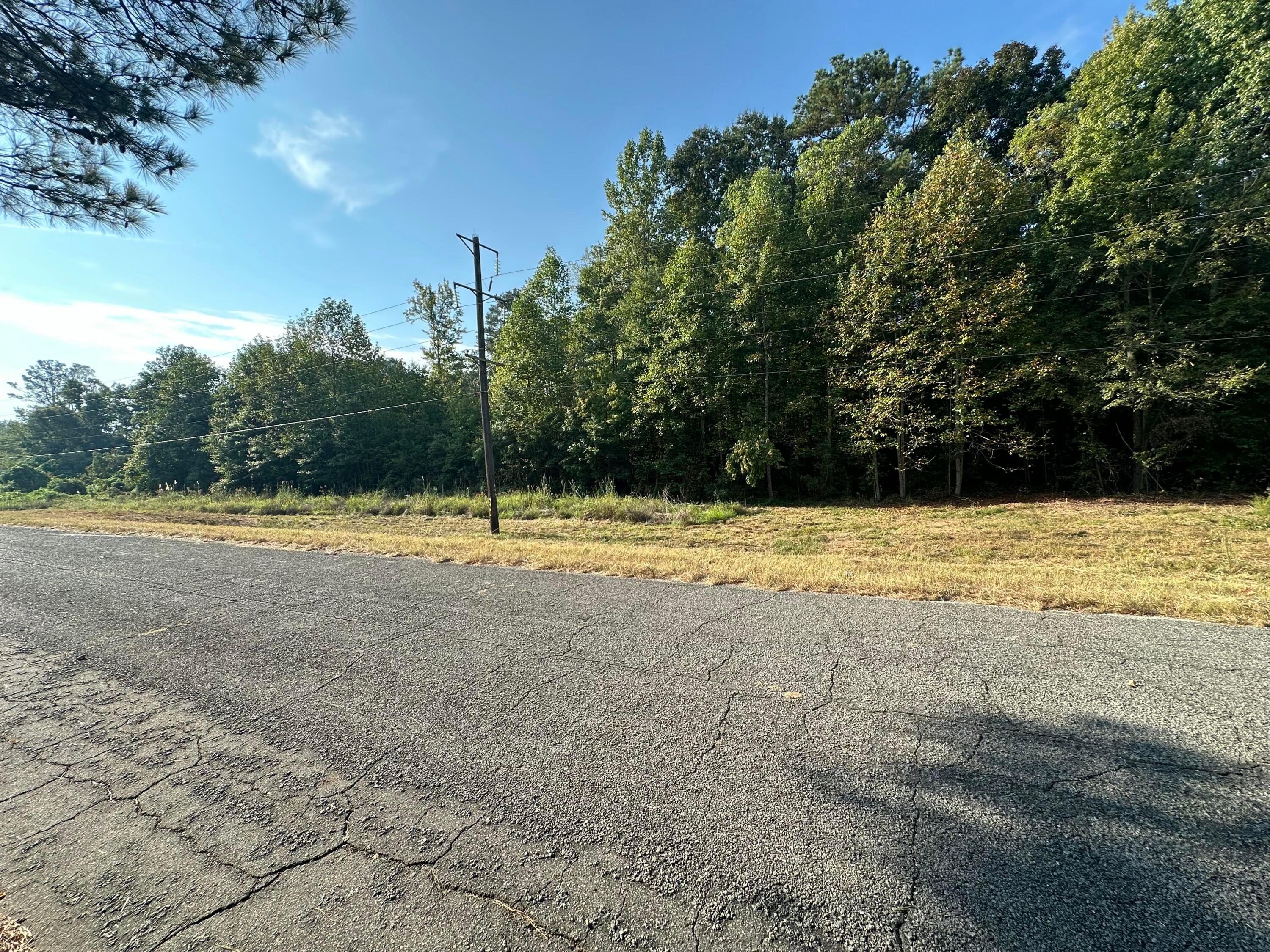 871 Margerum Tract 2 Road Cherokee, AL 35616 - Photo 6 of 9 Gallery Image 6