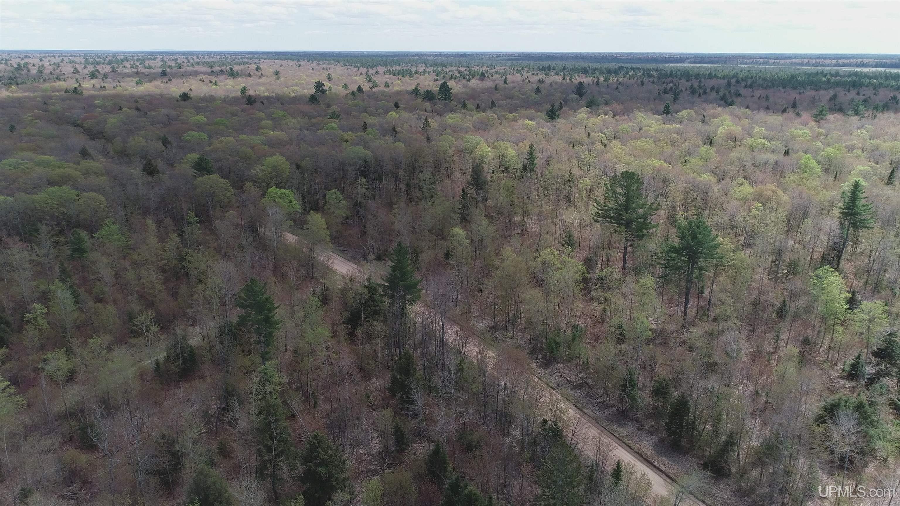 450 Rd Seney Mi 49883 Road Seney, MI 49883 - Photo 30 of 33