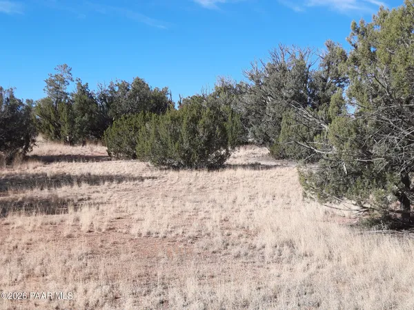 a view of a yard covered with snow